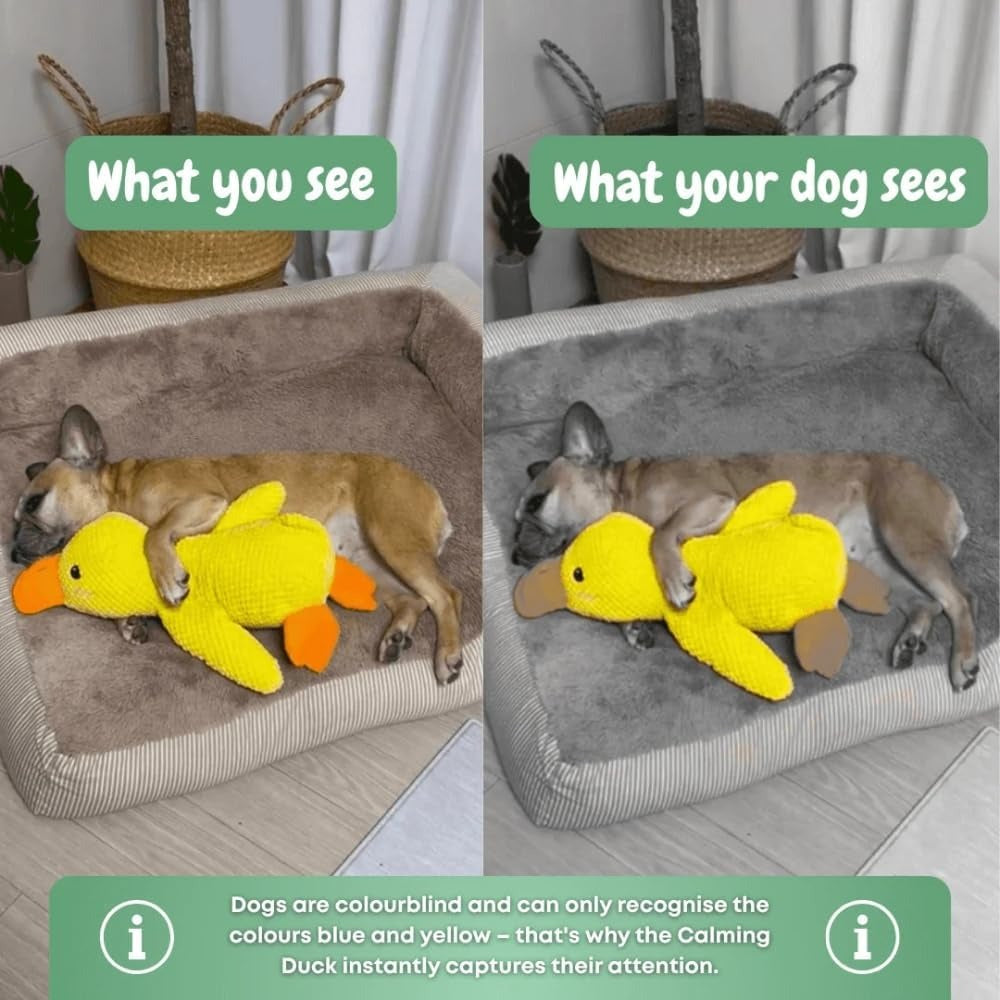 Plush Duck Dog Toy with Gentle Squeaker for All Breeds, Durable Soft Fabric Chew Toy for Indoor and Outdoor Play, Lightweight Textured Dog Toy for Daily Interaction