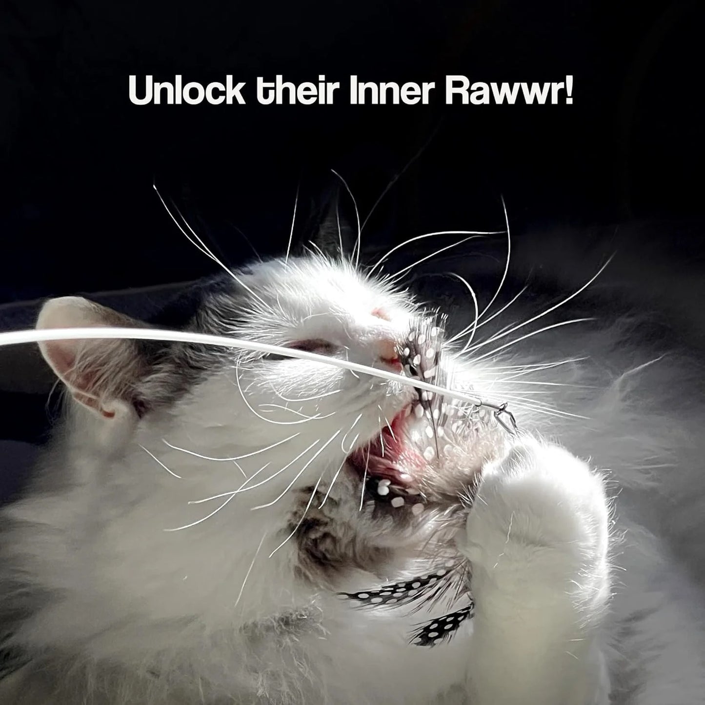 Interactive Feather Cat Wand Toy Set with 2 Teaser Wands and 4 Interchangeable Refills, 27 Inch Flexible Wire and Wooden Handle for Indoor Cats and Kittens Exercise Play