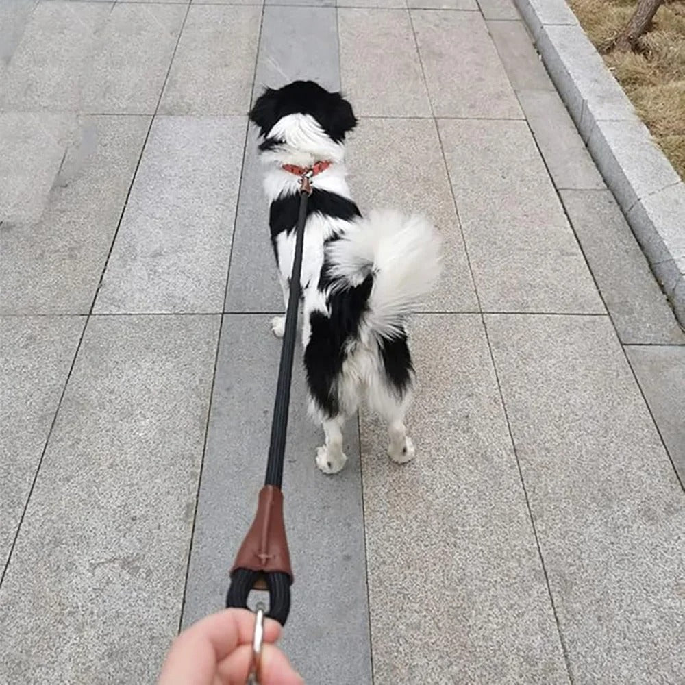 No-Handle Heavy Duty Dog Leash Extension, 6ft Bungee Rope Lead for Running, Jogging, Walking, Exercising, Training, and Tethering Medium and Large Dogs