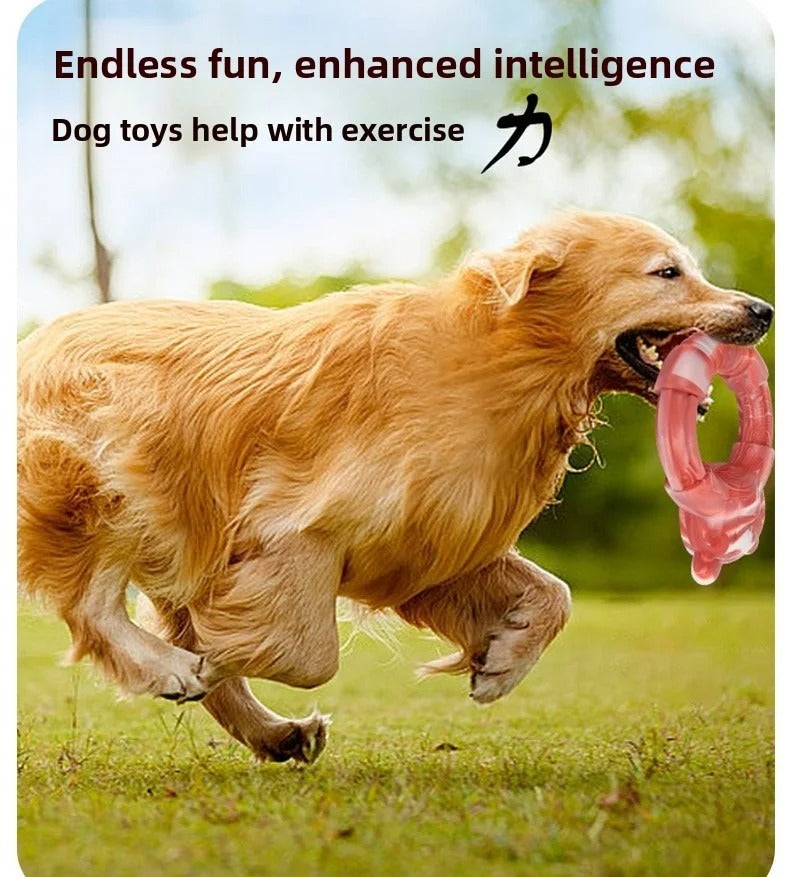 Eco-Friendly Degradable Dog Chew Toys Set for Large and Medium Dogs, Bite Resistant Panda Ring and Bone Style Chewing Toys, Durable Textured Dog Toys for Daily Play and Dental Support