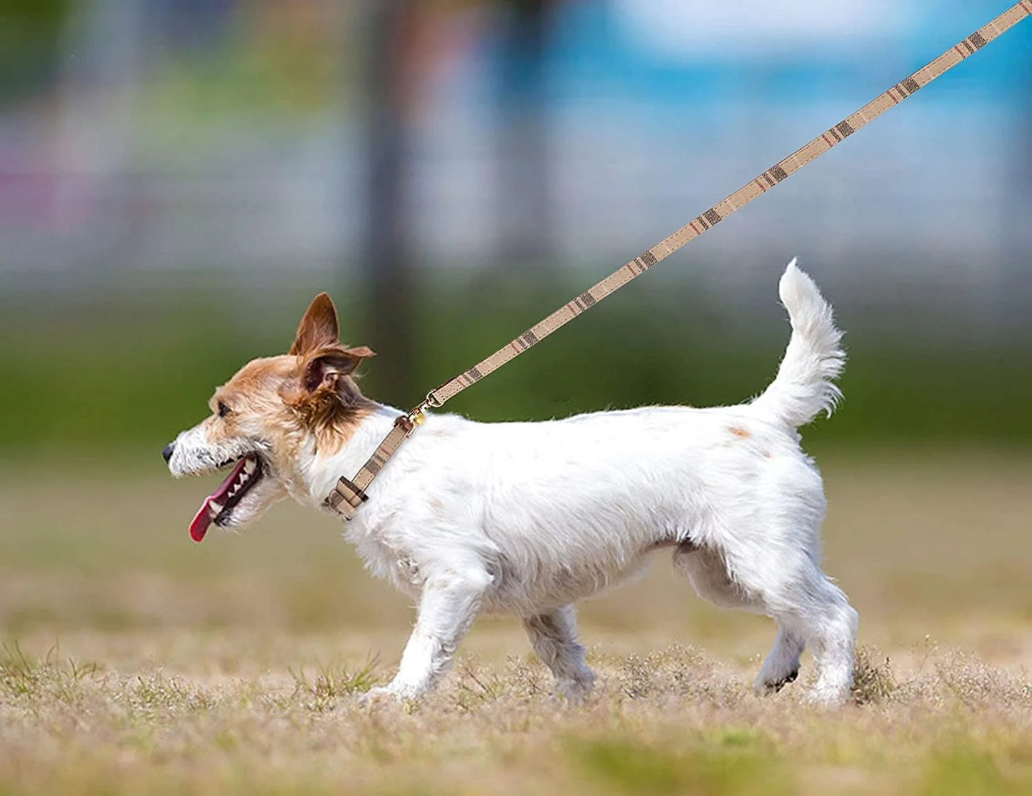 3-Piece Adjustable Dog and Cat Collar Set with Leash, Bow Tie and Bell, Soft PU Leather Pet Accessories for Small Puppies and Kittens, Stylish Beige Plaid Design
