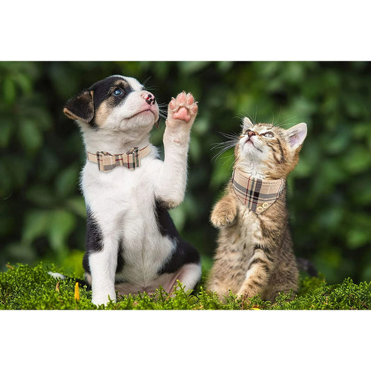 3-Piece Adjustable Dog and Cat Collar Set with Leash, Bow Tie and Bell, Soft PU Leather Pet Accessories for Small Puppies and Kittens, Stylish Beige Plaid Design