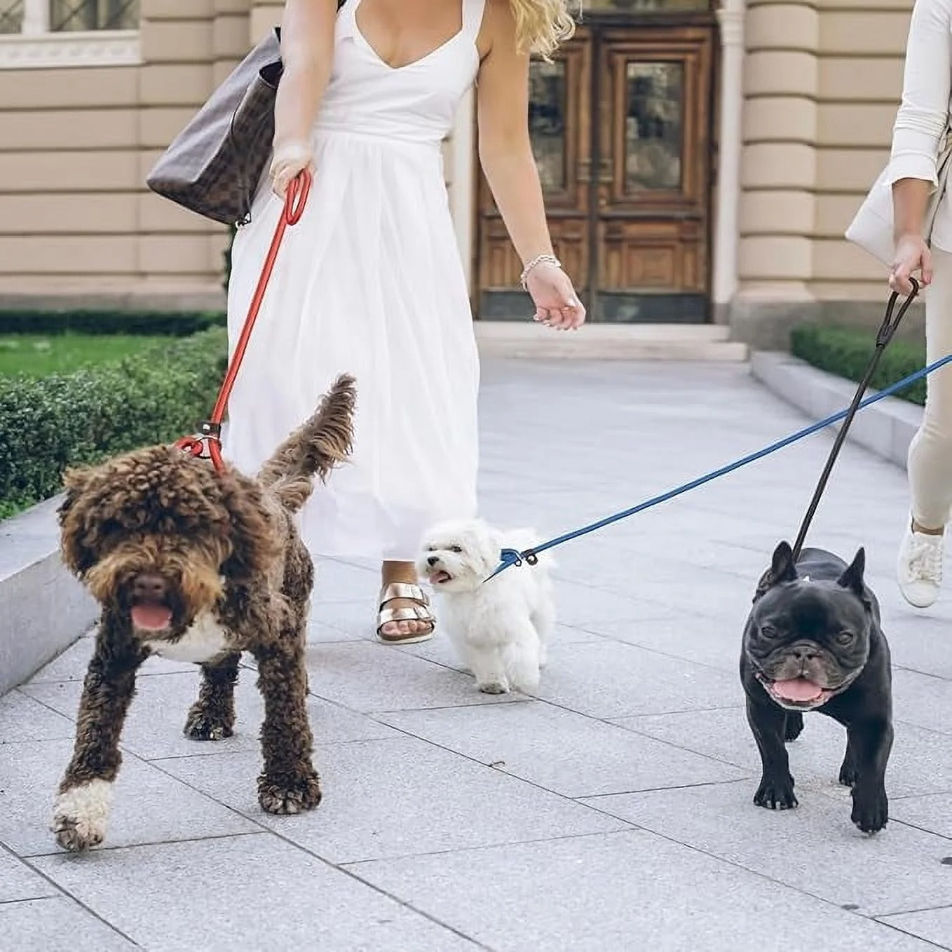 3pcs Adjustable Slip Lead Dog Leash, Durable Nylon Rope Leash for Training, Walking, Running, and Outdoor Activities for Small, Medium, and Large Dogs