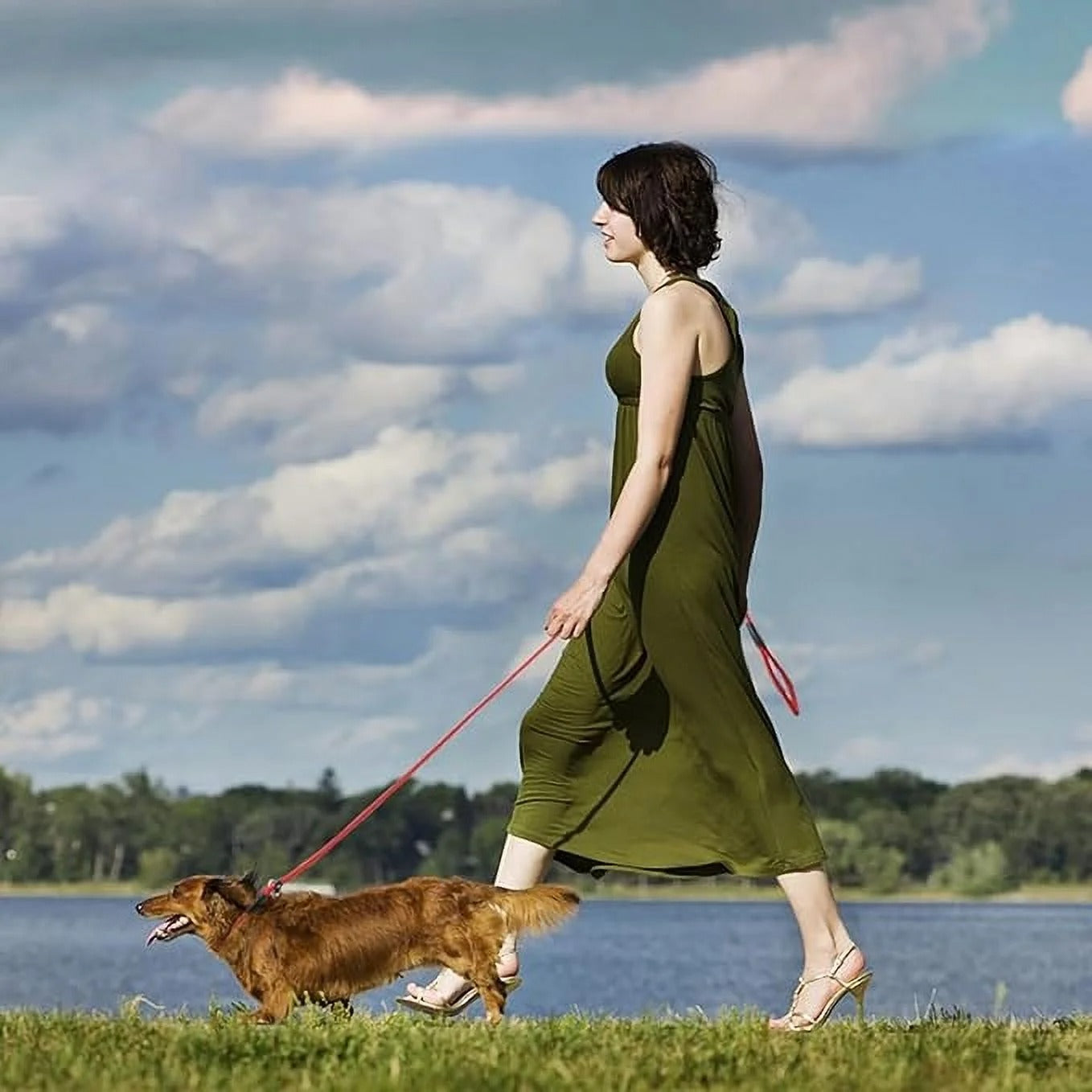 3pcs Adjustable Slip Lead Dog Leash, Durable Nylon Rope Leash for Training, Walking, Running, and Outdoor Activities for Small, Medium, and Large Dogs